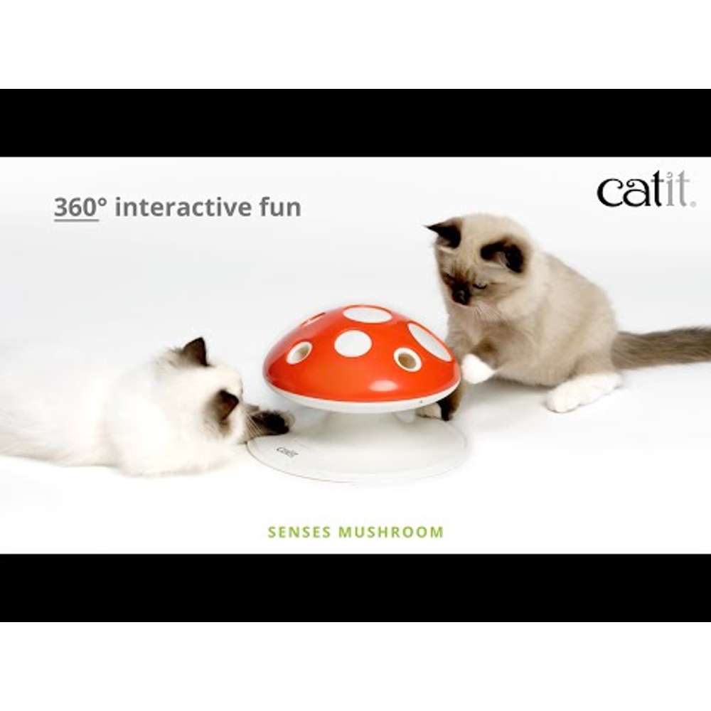 Catit Senses Mushroom