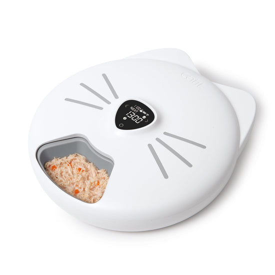 Cat 6 meal smart feeder