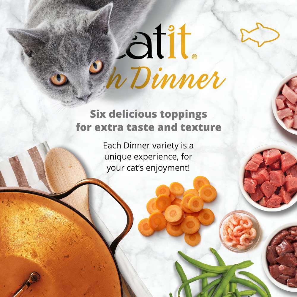 Catit Fish Dinner